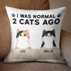 I Was Normal With My Cats - Funny Personalized Cat Pillow (Insert Included)