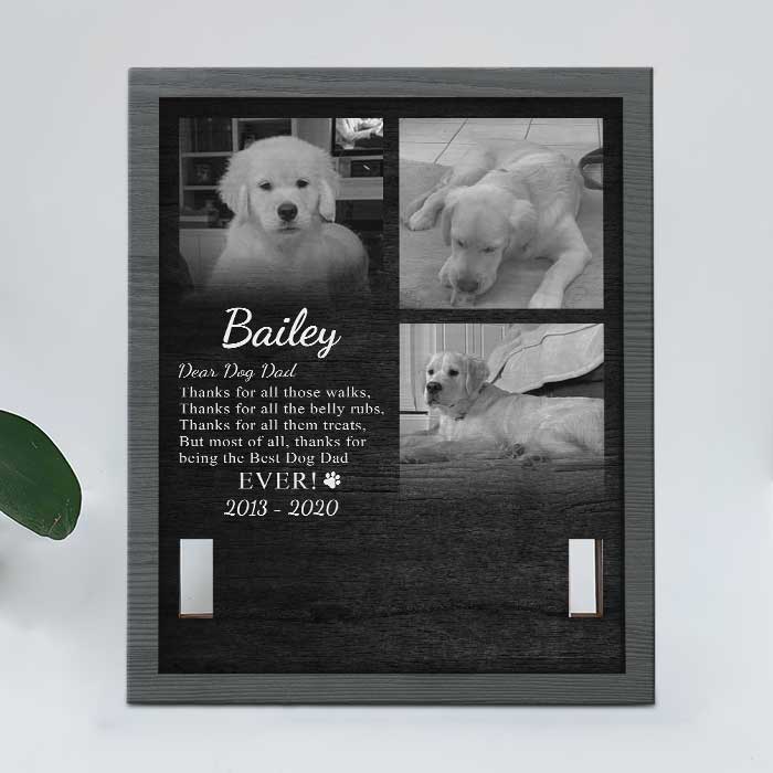 Thanks For All Those Walks - Memorial Personalized Custom Pet Loss Sign, Collar Frame - Upload Image, Sympathy Gift, Gift For Pet Owners, Pet Lovers