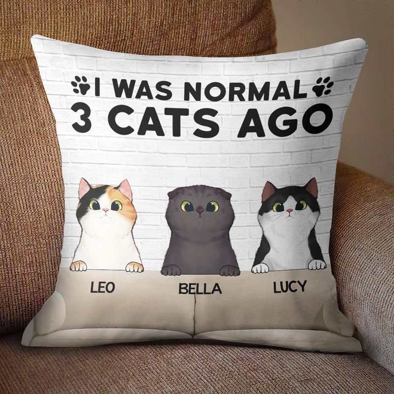 I Was Normal With My Cats - Funny Personalized Cat Pillow (Insert Included)