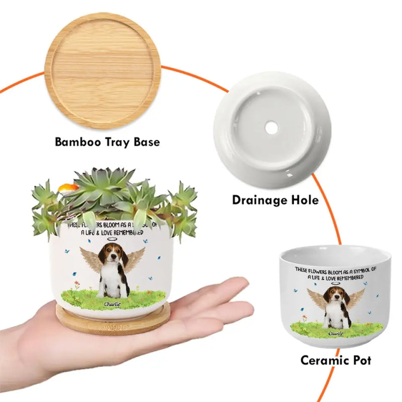 Custom Pet Memorial Gifts for Dog Lovers - Personalized Ceramic Plant Pot