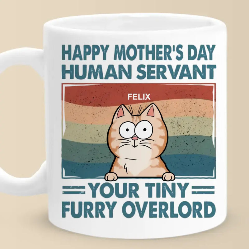 Funny Cat Mom Mother's Day Gift - Mug