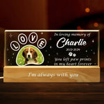 Custom Pet Photo Memorial Gifts - Personalized Acrylic Letters Night Light