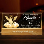 Custom Pet Photo Memorial Gifts for Dog Lovers - Personalized Acrylic Letters Night Light
