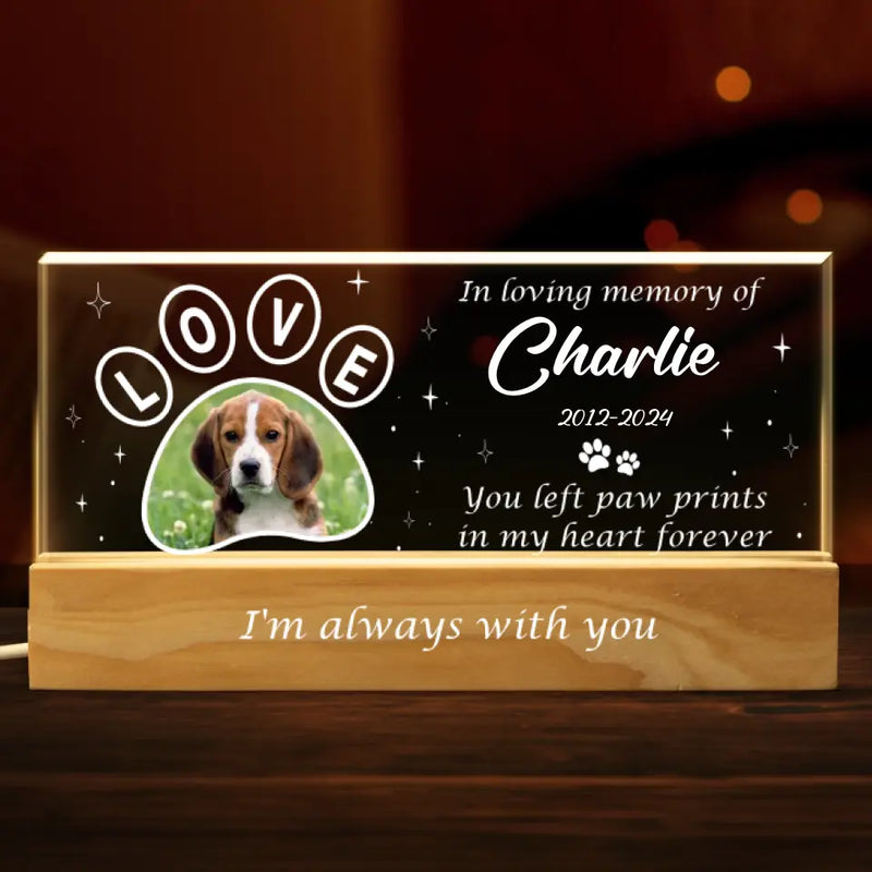 Custom Pet Photo Memorial Gifts - Personalized Acrylic Letters Night Light