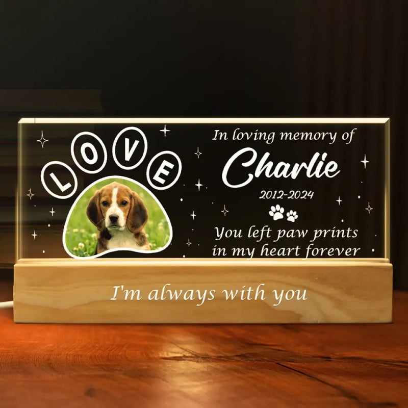 Custom Pet Photo Memorial Gifts - Personalized Acrylic Letters Night Light