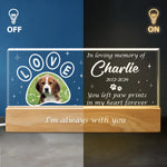 Custom Pet Photo Memorial Gifts - Personalized Acrylic Letters Night Light