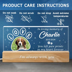 Custom Pet Photo Memorial Gifts - Personalized Acrylic Letters Night Light