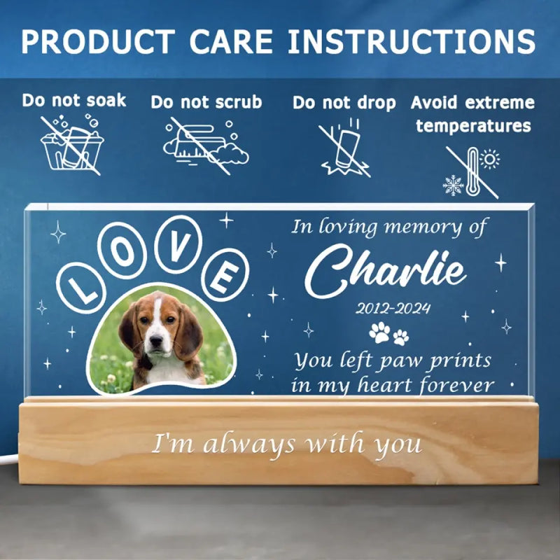 Custom Pet Photo Memorial Gifts - Personalized Acrylic Letters Night Light