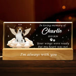 Custom Pet Photo Memorial Gifts for Dog Lovers - Personalized Acrylic Letters Night Light