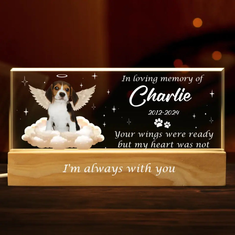 Custom Pet Photo Memorial Gifts for Dog Lovers - Personalized Acrylic Letters Night Light