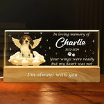 Custom Pet Photo Memorial Gifts for Dog Lovers - Personalized Acrylic Letters Night Light