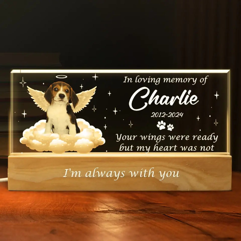 Custom Pet Photo Memorial Gifts for Dog Lovers - Personalized Acrylic Letters Night Light
