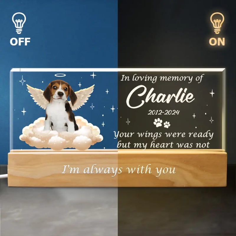 Custom Pet Photo Memorial Gifts for Dog Lovers - Personalized Acrylic Letters Night Light