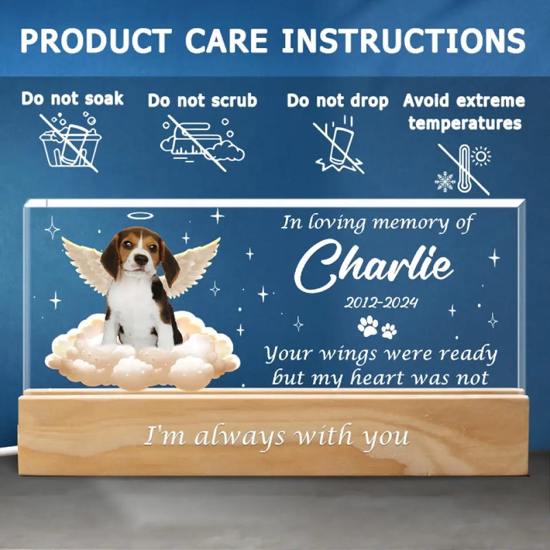 Custom Pet Photo Memorial Gifts for Dog Lovers - Personalized Acrylic Letters Night Light