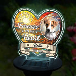 Custom Pet Photo Memorial Gifts for Dog Lovers - Personalized Garden Solar Light