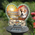 Custom Pet Photo Memorial Gifts for Dog Lovers - Personalized Garden Solar Light