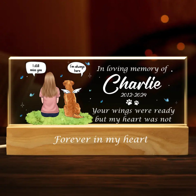 Custom Name Pet Memorial Gifts for Dog Lovers - Personalized Acrylic Letters Night Light