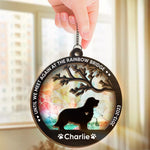Custom Pet Memorial Rainbow Bridge Gifts - Personalized Suncatcher Ornament