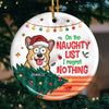 Christmas Cheer With My Pet Sidekick - Dog & Cat Personalized Custom 3D Inflated Effect Printed Ornament - Ceramic Round Shaped - Christmas Gift For Pet Owners, Pet Lovers