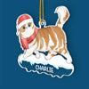 Paws And Reflect, It's Christmas Time - Cat Personalized Custom Ornament - Acrylic Custom Shaped - Christmas Gift For Pet Owners, Pet Lovers