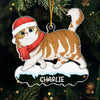 Paws And Reflect, It's Christmas Time - Cat Personalized Custom Ornament - Acrylic Custom Shaped - Christmas Gift For Pet Owners, Pet Lovers
