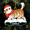 Paws And Reflect, It's Christmas Time - Cat Personalized Custom Ornament - Acrylic Custom Shaped - Christmas Gift For Pet Owners, Pet Lovers