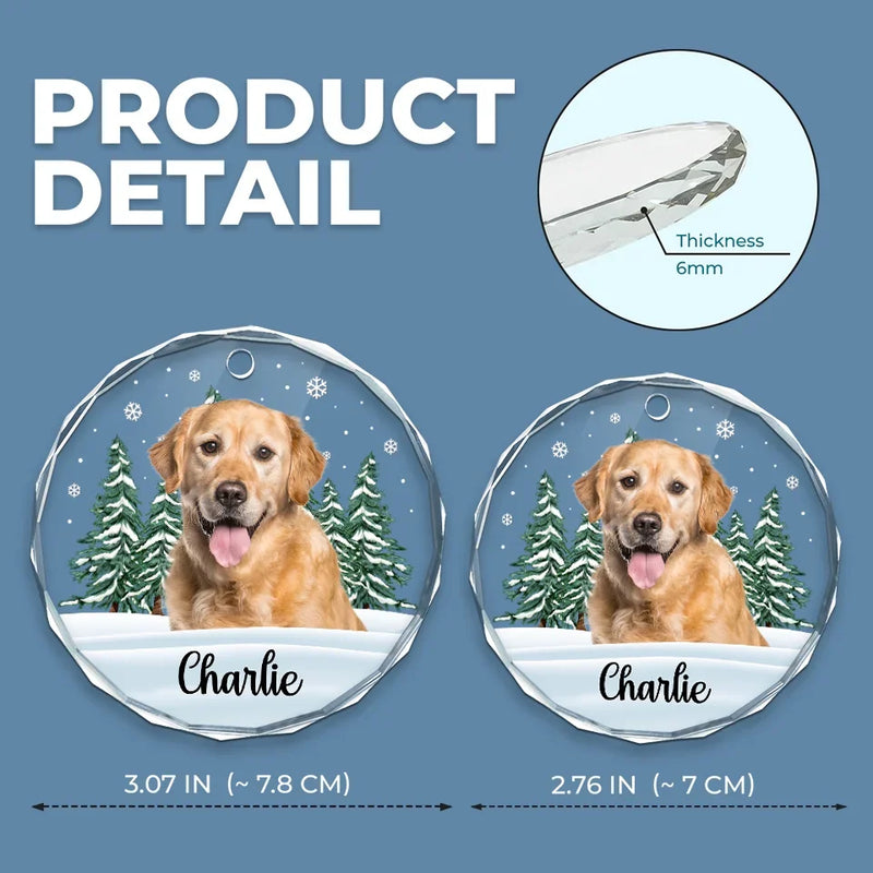 Custom Pet Photo Christmas Gifts for Dog Lovers - Personalized Glass Ornament