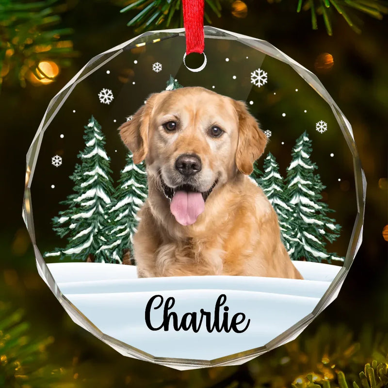 Custom Photo We Still Miss You - Memorial Personalized Custom Circle Glass Ornament - Christmas Gift, Sympathy Gift For Pet Owners, Pet Lovers