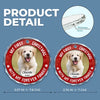 Custom Photo Joy To The World, My Pet Has Come - Dog & Cat Personalized Custom Circle Glass Ornament - Christmas Gift For Pet Owners, Pet Lovers, First Christmas