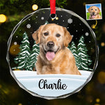 Custom Pet Photo Christmas Gifts for Dog Lovers - Personalized Glass Ornament