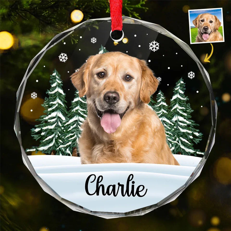 Custom Photo 'Til We Meet Again, My Friend - Memorial Personalized Custom Circle Glass Ornament - Christmas Gift, Sympathy Gift For Pet Owners, Pet Lovers
