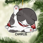Custom Name Christmas Cat Gifts for Cat Lovers - Personalized Ornament
