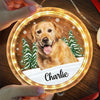 Custom Photo Every Day Is A Holiday With You By My Side - Dog & Cat Personalized Custom LED Pendant Light Ornament - Christmas Gift For Pet Owners, Pet Lovers