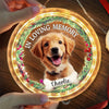 Custom Photo You’re My Favorite Holiday Companion - Dog & Cat Personalized Custom LED Pendant Light Ornament - Christmas Gift For Pet Owners, Pet Lovers