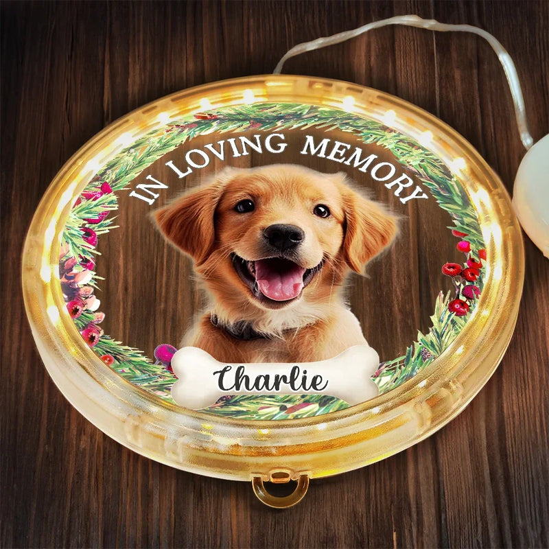 Custom Photo You’re My Favorite Holiday Companion - Dog & Cat Personalized Custom LED Pendant Light Ornament - Christmas Gift For Pet Owners, Pet Lovers