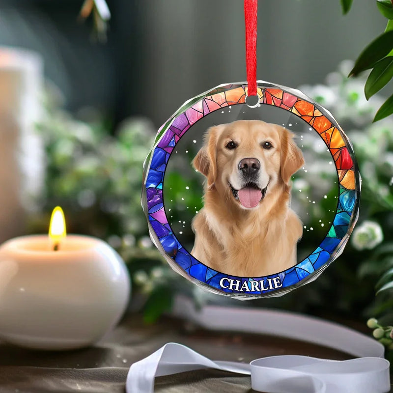 Custom Photo Every Pet Must Have His Day - Dog & Cat Personalized Custom Circle Glass Ornament - Christmas Gift For Pet Owners, Pet Lovers