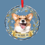 Custom Pet Photo Christmas Gifts for Cat Lovers - Personalized Glass Ornament