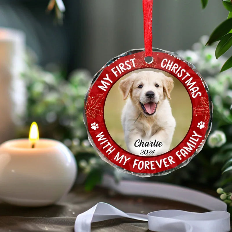 Custom Photo My Adorable Fur Baby - Dog & Cat Personalized Custom Circle Glass Ornament - New Arrival, Christmas Gift For Pet Owners, Pet Lovers, First Christmas AMZ