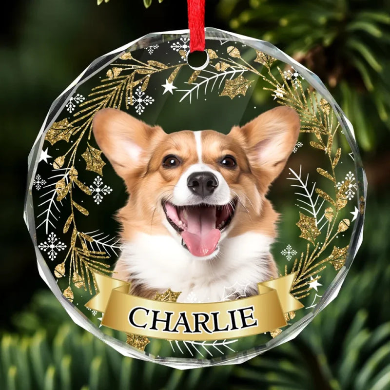 Custom Pet Name Christmas Gifts for Dog Lovers - Personalized Glass Ornament