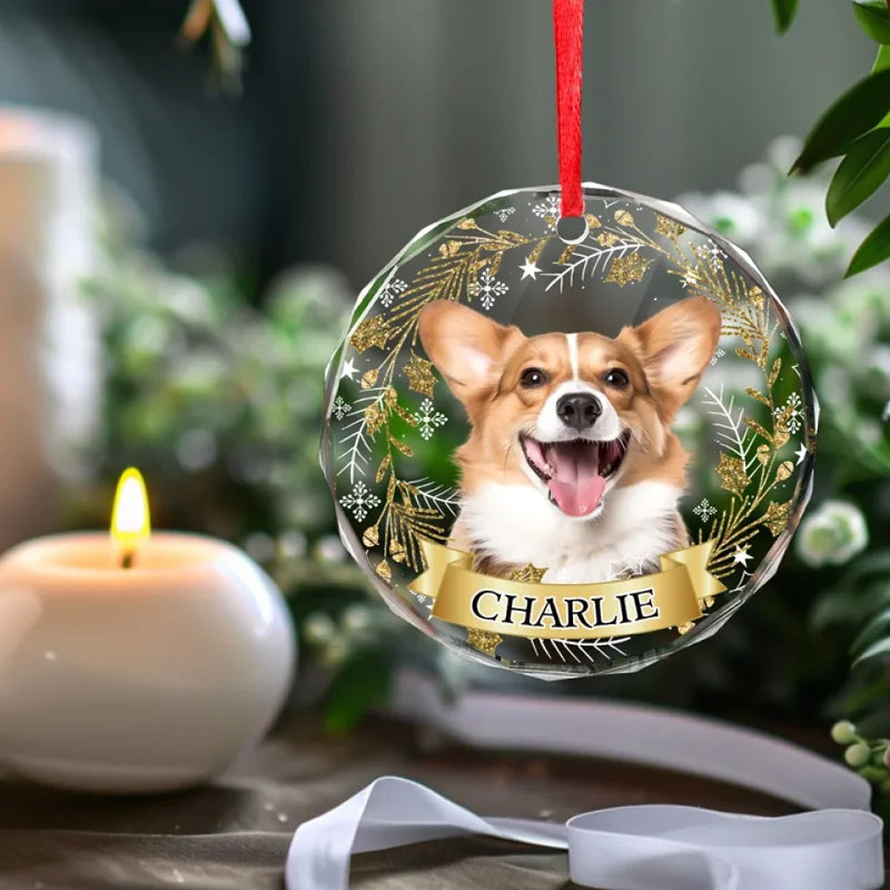 Custom Pet Name Christmas Gifts for Dog Lovers - Personalized Glass Ornament