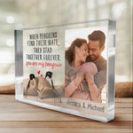 Custom Photo Penguin Couple Gifts - Personalized Shaped Acrylic Plaque