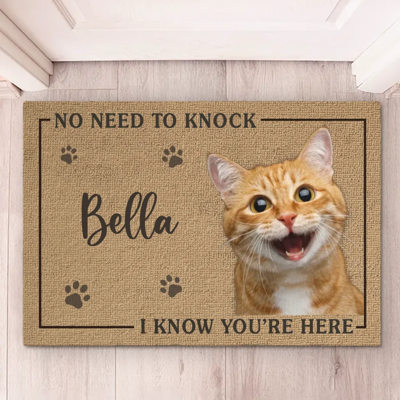 Custom Pet Photo No Need to Knock Decor - Personalized Doormat