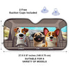 Take Me Everywhere You Go - Dog Personalized Custom Auto Windshield Sunshade, Car Window Protector - Gift For Pet Owners, Pet Lovers