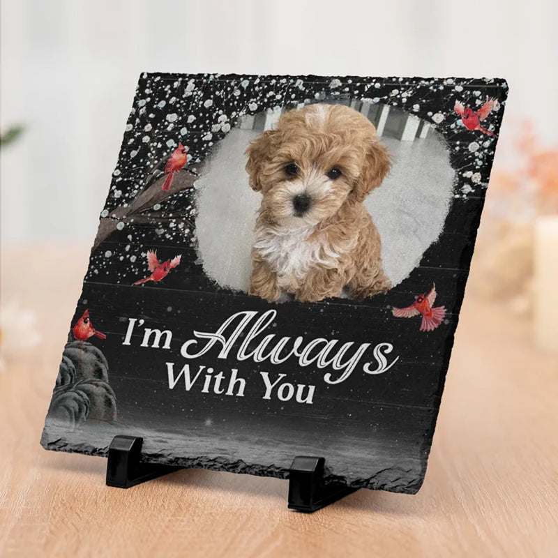 Custom Pet Photo Memorial Dog Gifts - Personalized Stone With Stand
