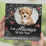 Custom Pet Photo Memorial Dog Gifts - Personalized Stone With Stand