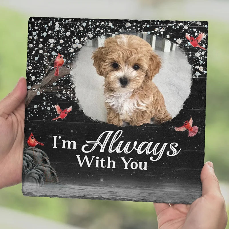 Custom Pet Photo Memorial Dog Gifts - Personalized Stone With Stand