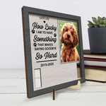 Custom Pet Photo Dog Memorial Gifts - Personalized Memorial Sign