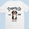 Property Of My Dog - Dog Personalized Custom Unisex T-shirt, Premium T-shirt, Hoodie - Gift For Pet Owners, Pet Lovers