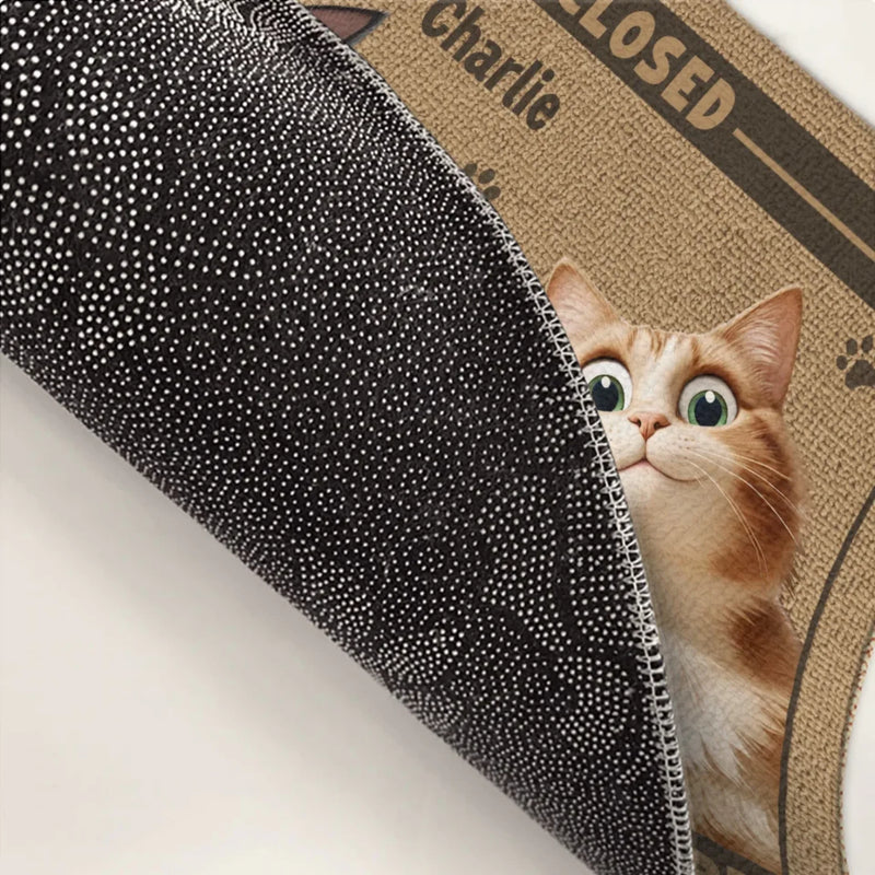 Custom Name Funny Cat Lover Gifts - Personalized Doormat