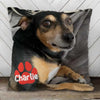Custom Photo All You Need Is Love And A Pet - Dog & Cat Personalized Custom Pillow - Gift For Pet Owners, Pet Lovers